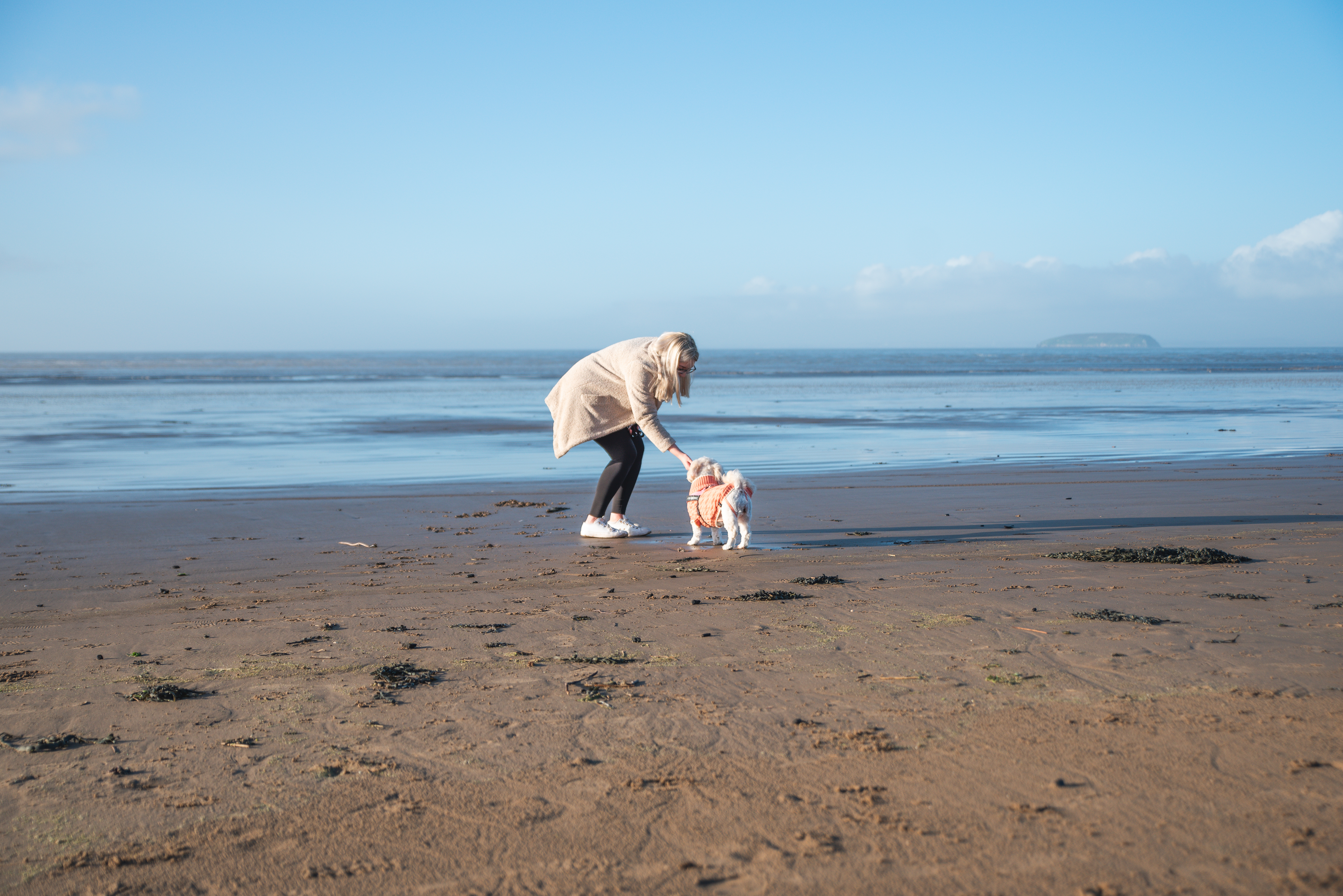 Woman Walking a dog in Brean beach