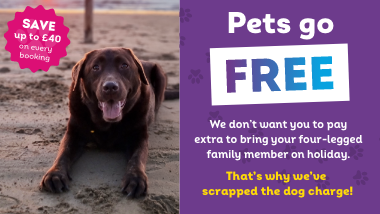 Pets Go Free