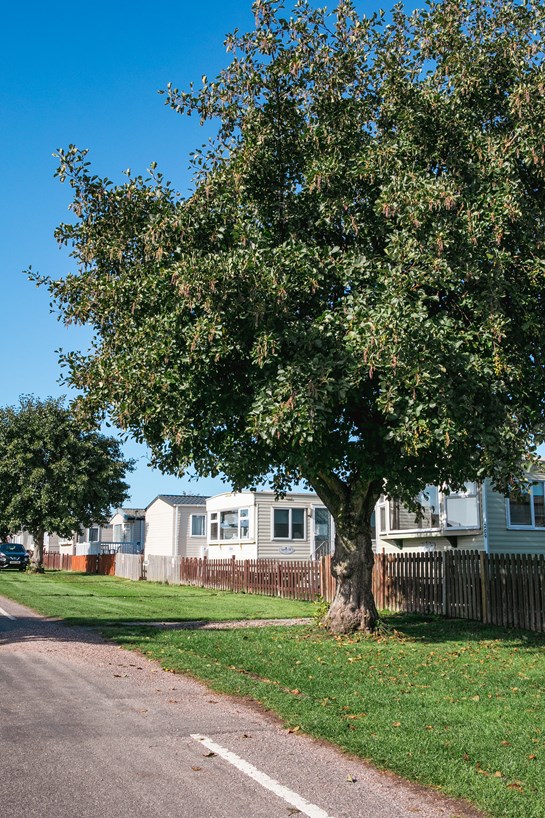 caravans in brean