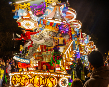 8 Nov North Petherton Carnival