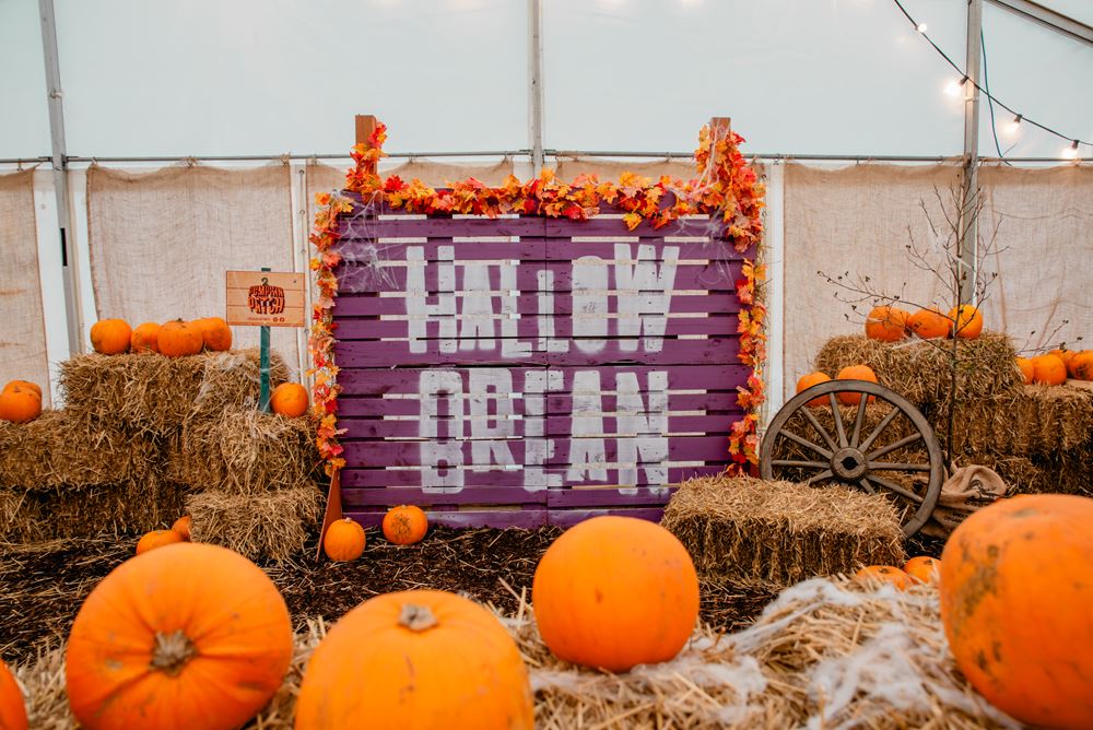 Pumpkin Patch 2023 24