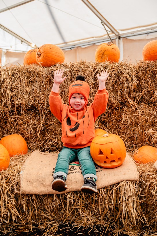 Pumpkin Patch And Carving 109